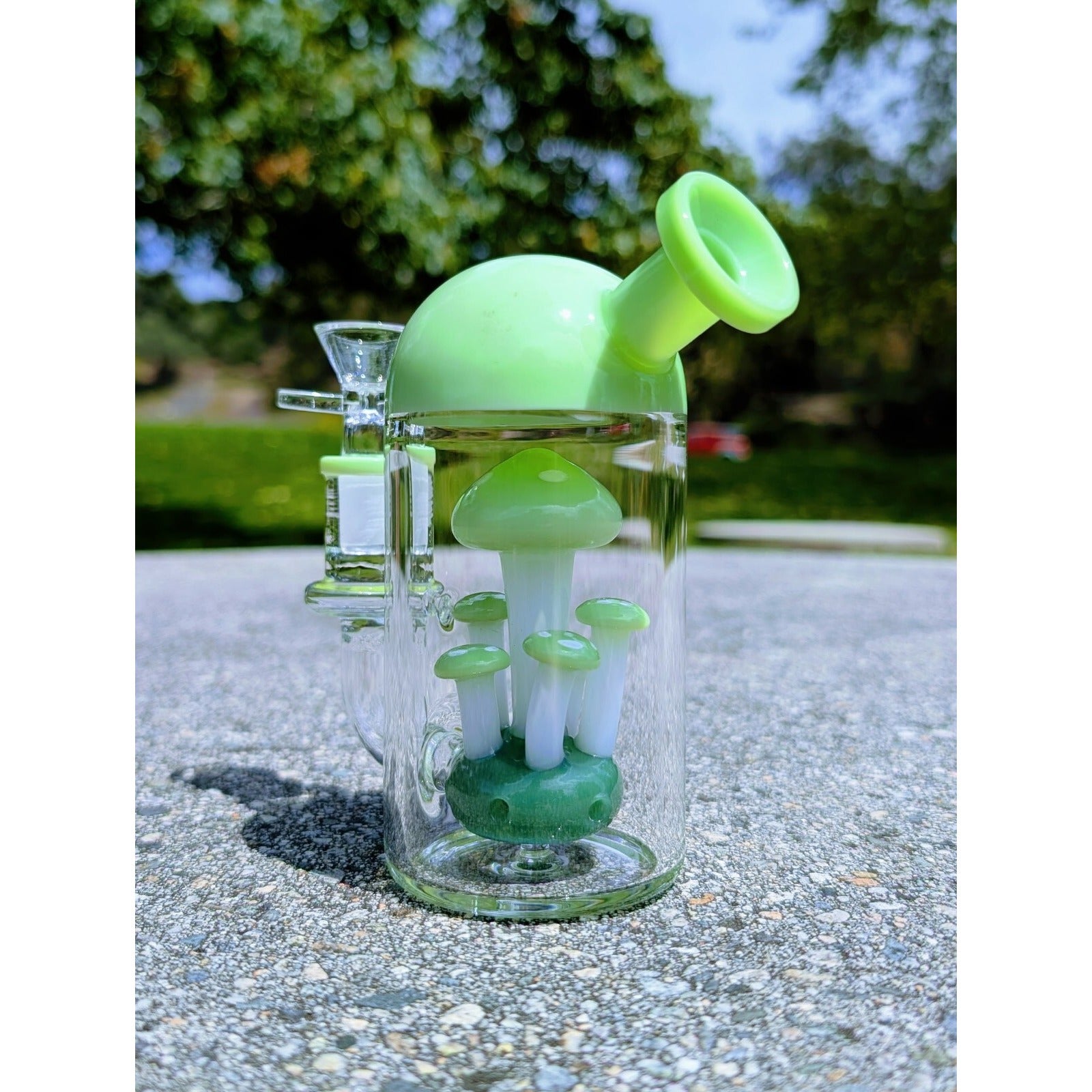6" Green Capsule Mushroom Perc Premium Quality Water Pipe Hookah Bubbler Bong