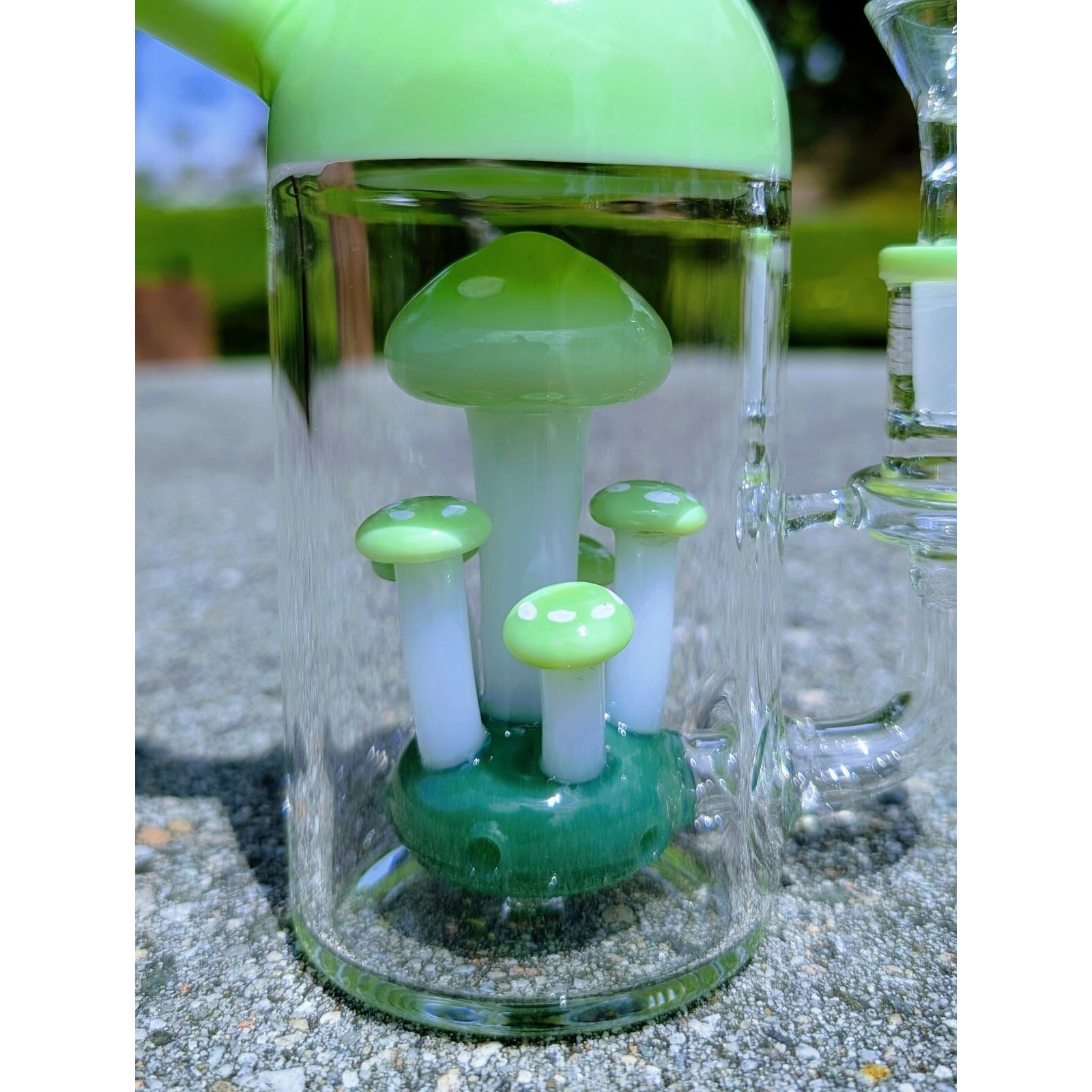 6" Green Capsule Mushroom Perc Premium Quality Water Pipe Hookah Bubbler Bong