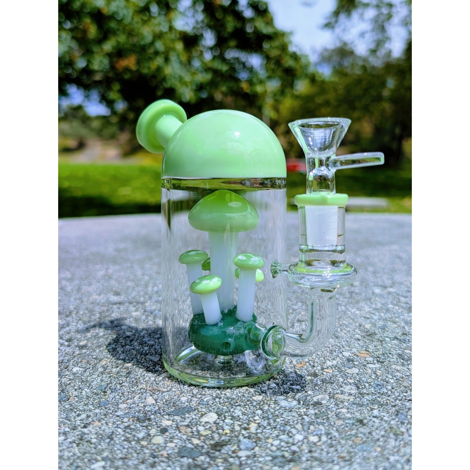 6" Green Capsule Mushroom Perc Premium Quality Water Pipe Hookah Bubbler Bong